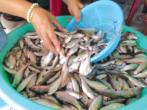 Thương nhớ món ngon quê nhà - Ảnh 3. Thương nhớ món ngon quê nhà - Ảnh 3.