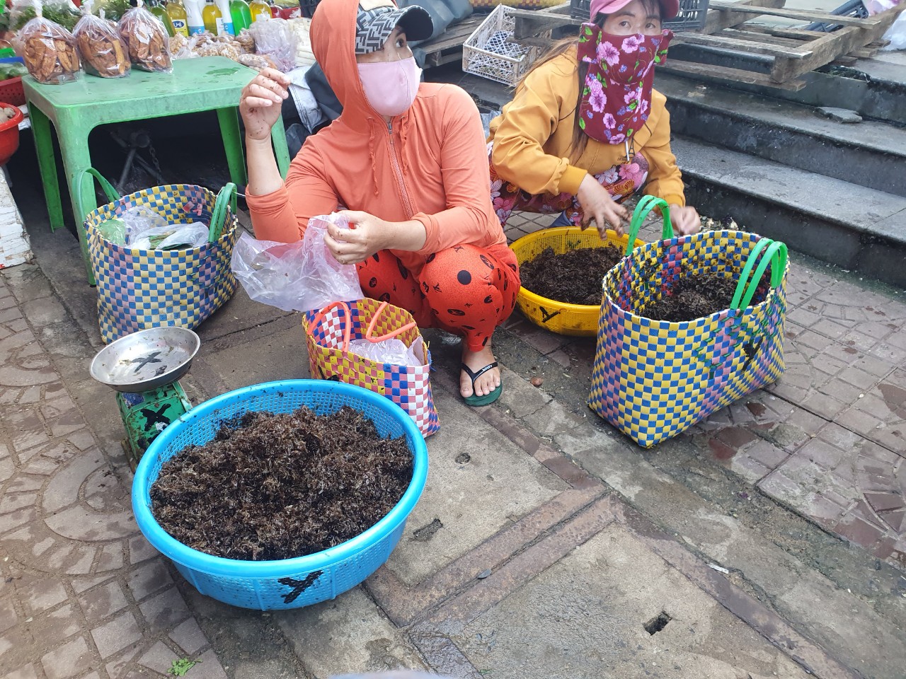 Ngày Tết về Phú Yên, đừng quên ăn canh rong mứt biển - Ảnh 2. Ngày Tết về Phú Yên, đừng quên ăn canh rong mứt biển - Ảnh 2.