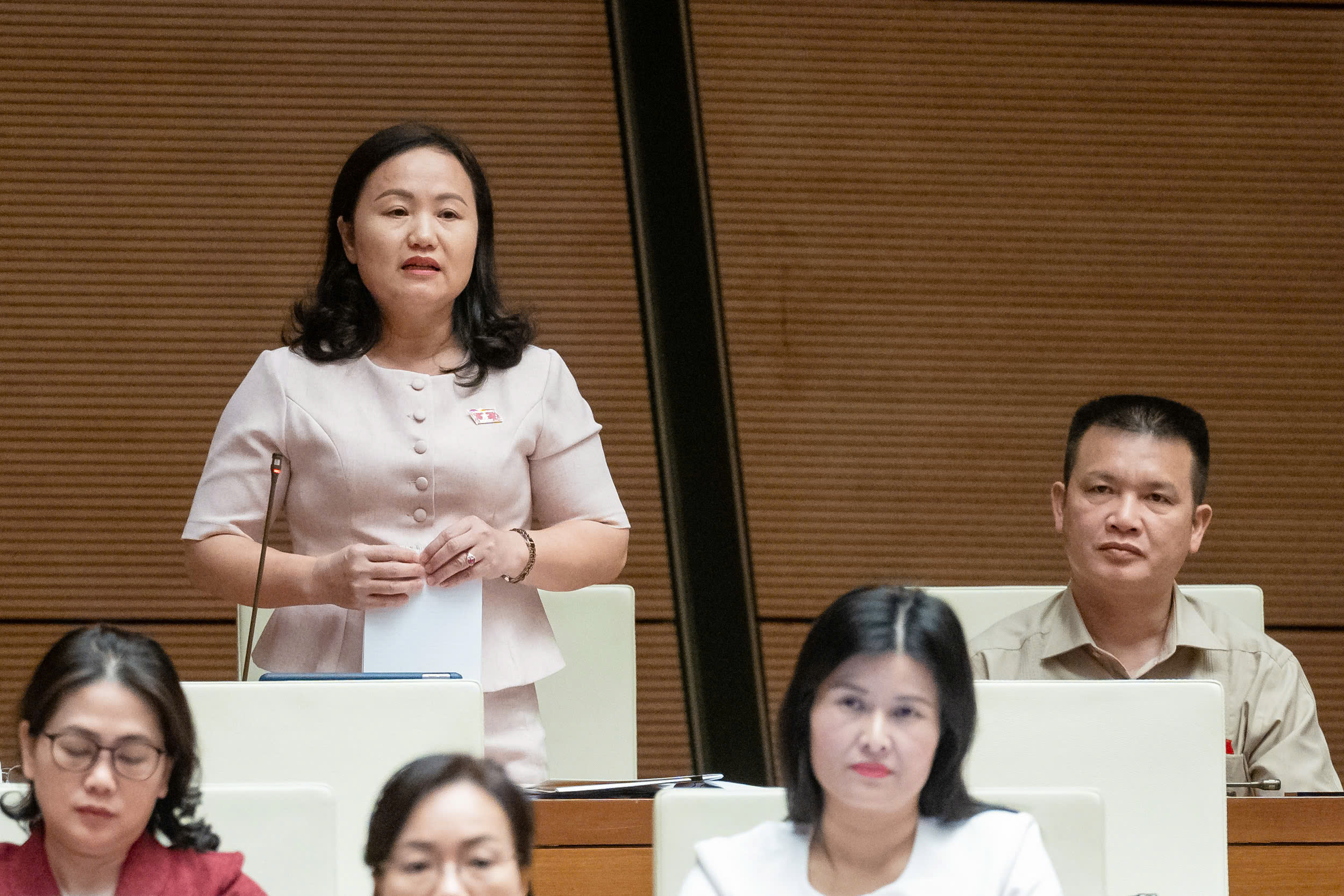 ĐBQH tranh luận việc thành lập quỹ bảo tồn di sản văn hoá- Ảnh 3. ĐBQH tranh luận việc thành lập quỹ bảo tồn di sản văn hoá- Ảnh 3.