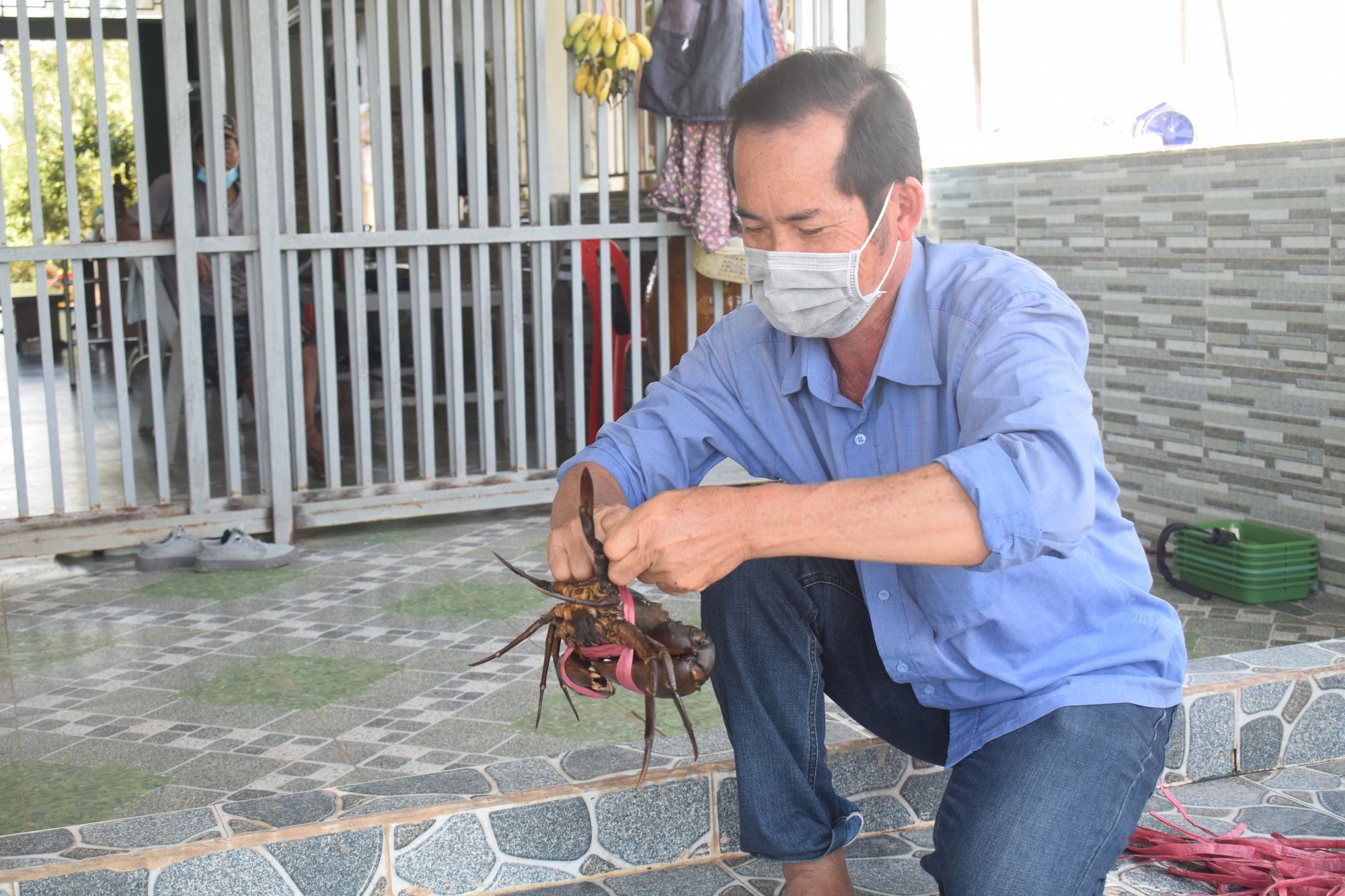 CLIP: Vang danh đặc sản “cua Y-7” ở Cà Mau - Ảnh 4. CLIP: Vang danh đặc sản “cua Y-7” ở Cà Mau - Ảnh 4.