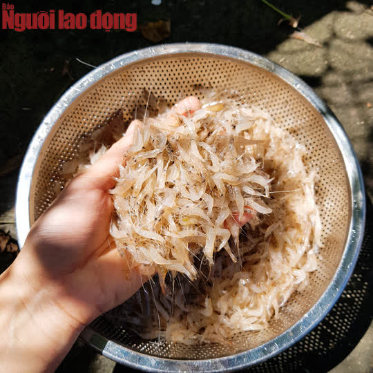 Bí quyết nấu mâm cơm chưa đến 100.000 đồng nhà 4 người ăn của cô giáo - Ảnh 3. Bí quyết nấu mâm cơm chưa đến 100.000 đồng nhà 4 người ăn của cô giáo - Ảnh 3.