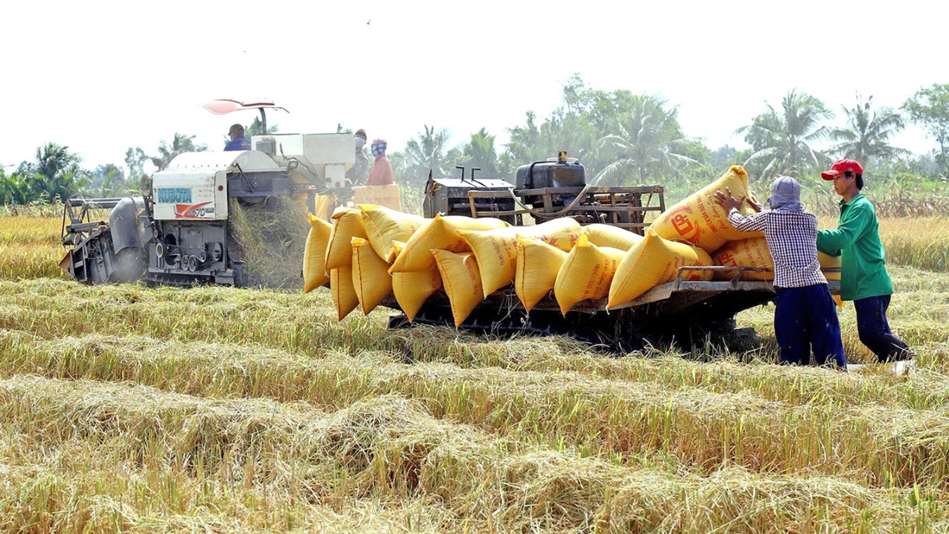 Những đổi thay sau Hội nghị Thủ tướng đối thoại với Nông dân 2023: Đột phá từ xây dựng 5 vùng nguyên liệu (Bài 2)- Ảnh 3. Những đổi thay sau Hội nghị Thủ tướng đối thoại với Nông dân 2023: Đột phá từ xây dựng 5 vùng nguyên liệu (Bài 2)- Ảnh 3.