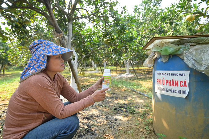 ddt_9529-084413_535.jpg Thùng ủ phân bón hữu cơ sử dụng chế phẩm sinh học do Viện Bảo vệ thực vật hỗ trợ vườn bưởi Ba Phương. Ảnh: Tùng Đinh.