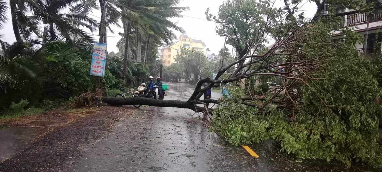 Cập nhật tin về bão số 6: Cách Đà Nẵng khoảng 90km, giật cấp 11, Cù Lao Chàm sóng to, gió rít liên hồi - Ảnh 2.