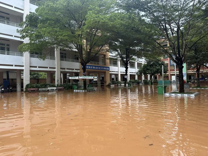 Nhà trường đang phối hợp cùng lực lượng chức năng di tản, kê cao đồ đạc để tránh hư hỏng. (Ảnh: Nhà trường cung cấp).