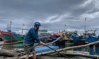 Ngư dân Đà Nẵng gấp rút neo đậu tàu thuyền ứng phó mưa lớn