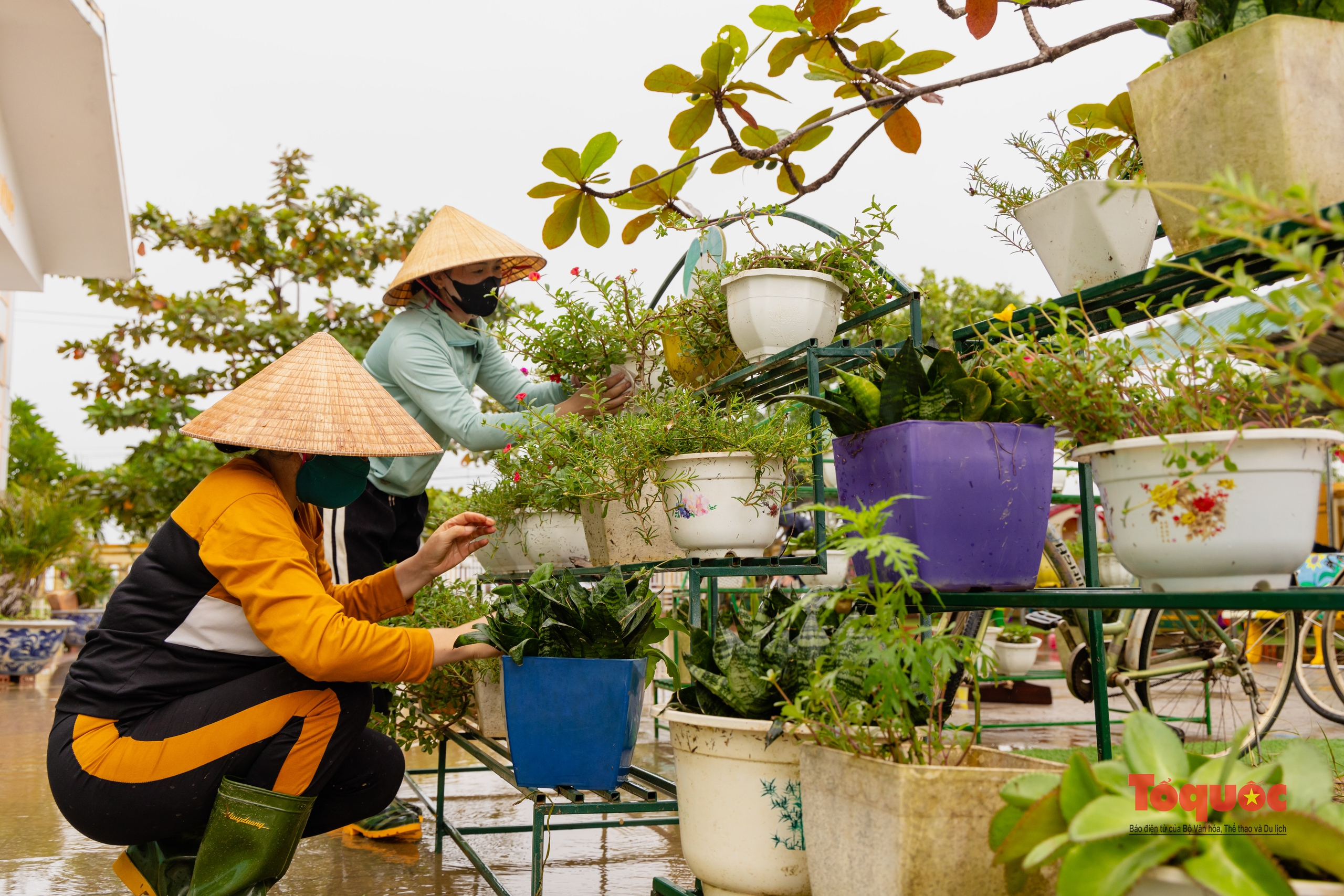 Quảng Bình: Trường học tổng lực dọn vệ sinh sau lũ - Ảnh 11. Quảng Bình: Trường học tổng lực dọn vệ sinh sau lũ - Ảnh 11.