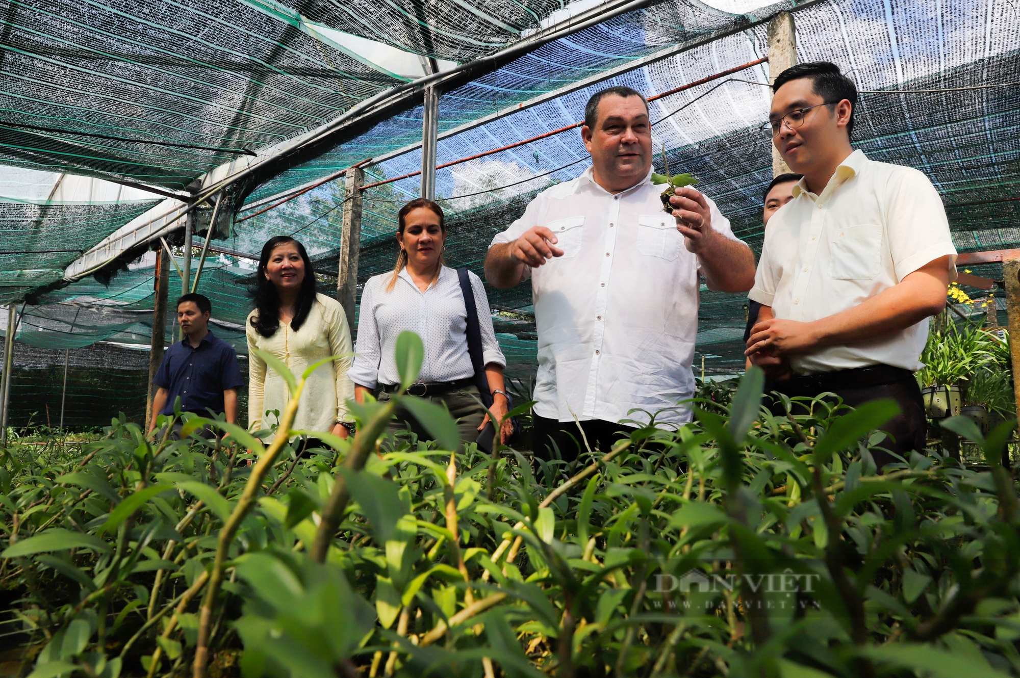 Hội Tiểu nông Cuba tham quan khu nông nghiệp công nghệ cao TPHCM- Ảnh 8. Hội Tiểu nông Cuba tham quan khu nông nghiệp công nghệ cao TPHCM- Ảnh 8.