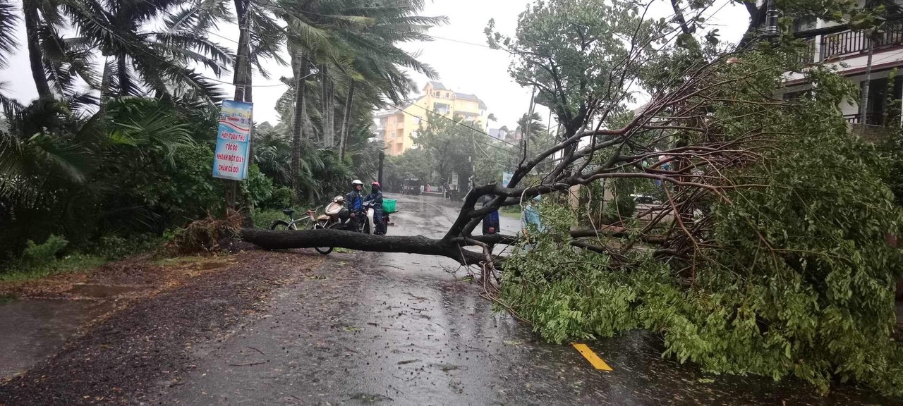 Bão số 6 - Trà Mi: Tại Quảng Nam có 2 người bị thương, nhiều nhà tốc mái- Ảnh 1. Bão số 6 - Trà Mi: Tại Quảng Nam có 2 người bị thương, nhiều nhà tốc mái- Ảnh 1.