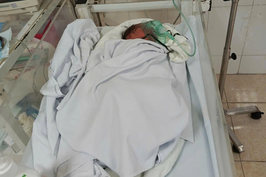 Bé gái sơ sinh bị bỏ rơi bên đường, toàn thân chi chít vết côn trùng cắn - 1 Bé gái sơ sinh bị bỏ rơi bên đường, toàn thân chi chít vết côn trùng cắn - 1