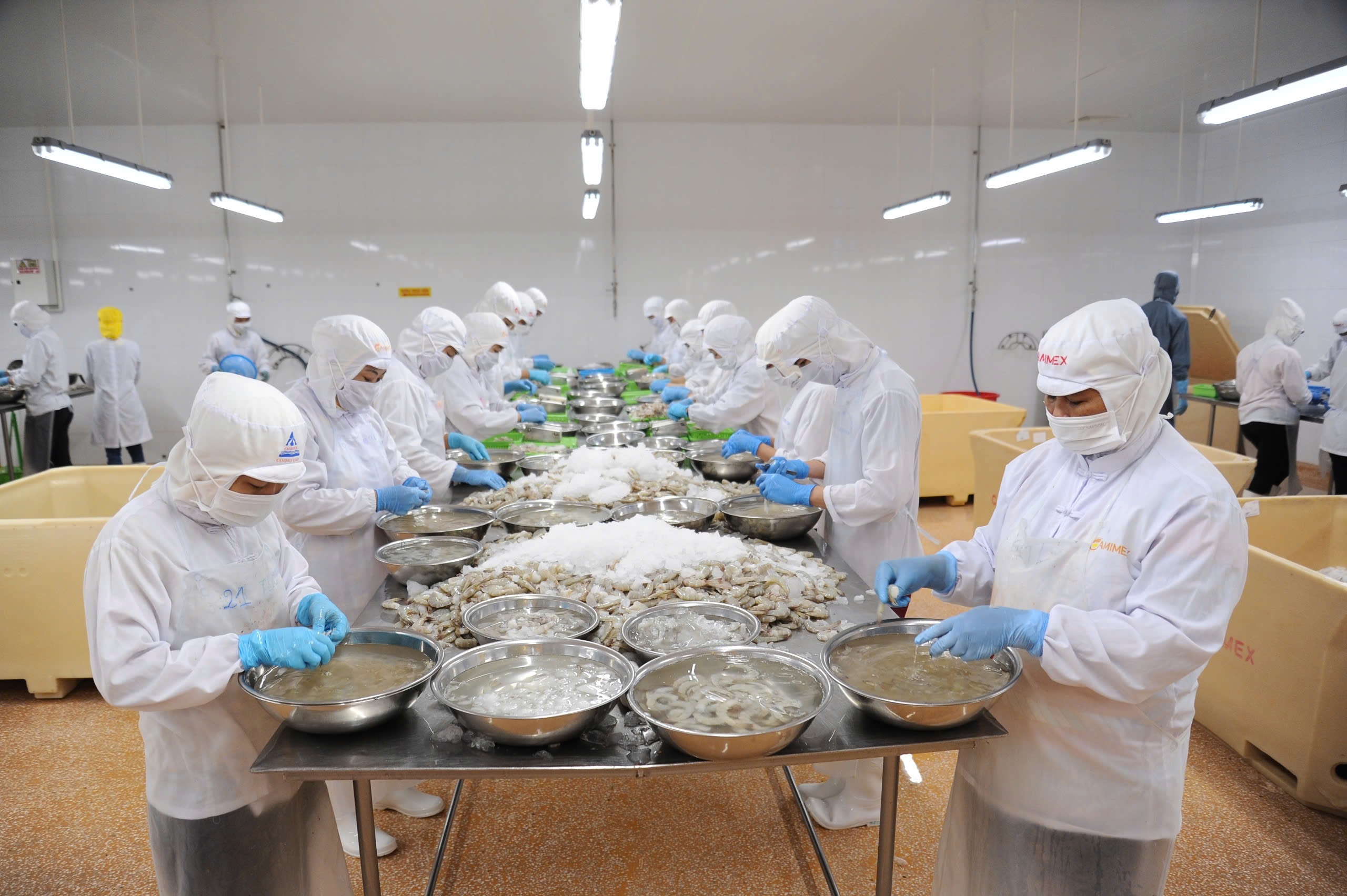 Cà Mau tổ chức để doanh nghiệp quốc tế khảo sát thị trường, kết nối giao thương - Ảnh 1.