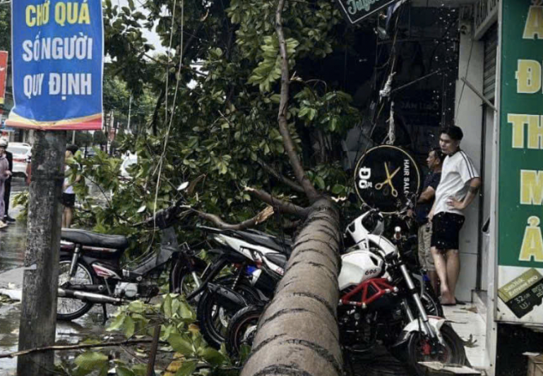 Cây xanh, biển quảng cáo ngã đổ sau mưa lớn ở Đồng Nai- Ảnh 1. Cây xanh, biển quảng cáo ngã đổ sau mưa lớn ở Đồng Nai- Ảnh 1.