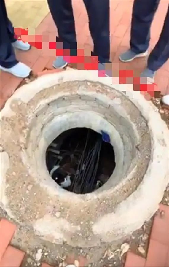 Con rơi xuống cống, cha ở trên không cho mọi người xuống cứu: Dư luận chất vấn "có thật sự là bố không?" - Ảnh 2. Con rơi xuống cống, cha ở trên không cho mọi người xuống cứu: Dư luận chất vấn "có thật sự là bố không?" - Ảnh 2.