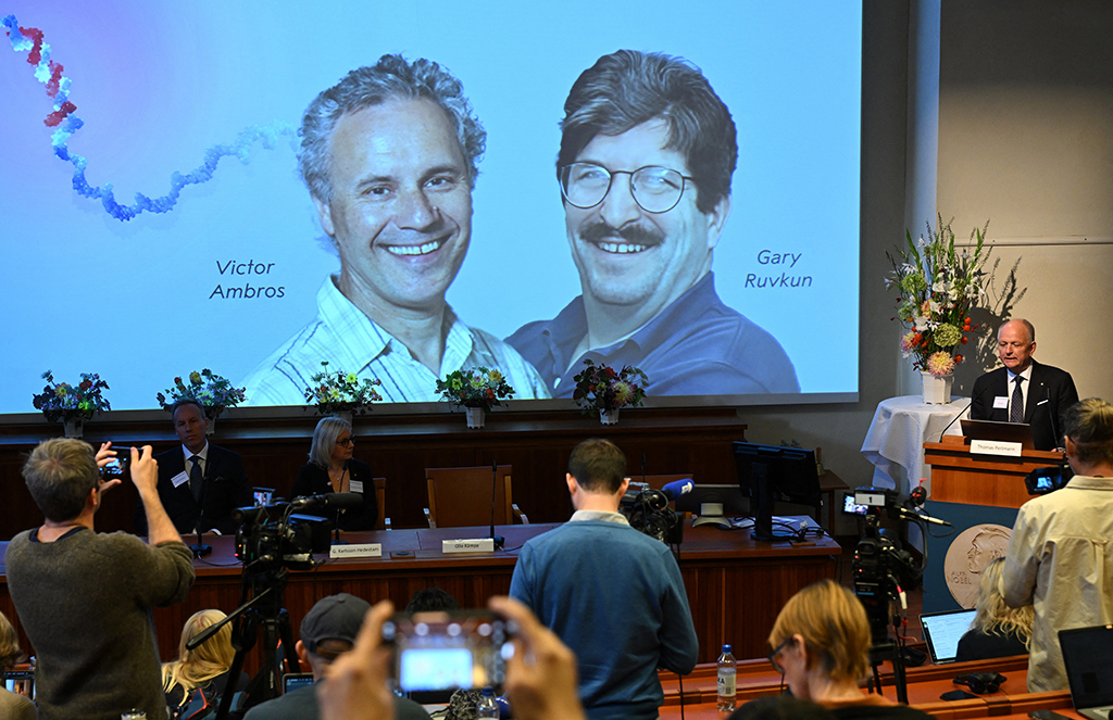 Giải Nobel Y sinh vinh danh phát hiện về di truyền học- Ảnh 1. Giải Nobel Y sinh vinh danh phát hiện về di truyền học- Ảnh 1.