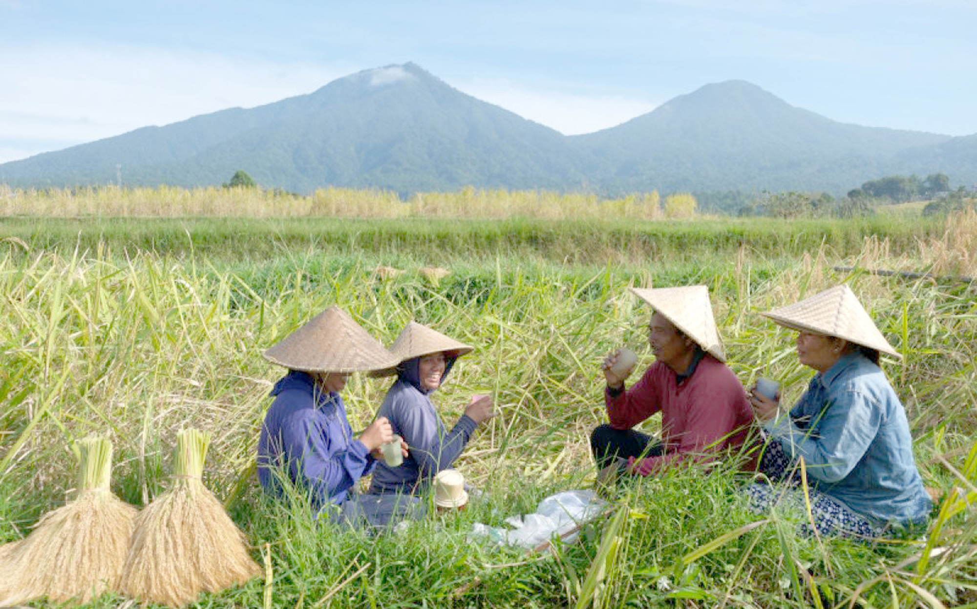 Indonesia khuyến khích người trẻ làm nông - Ảnh 1. Indonesia khuyến khích người trẻ làm nông - Ảnh 1.
