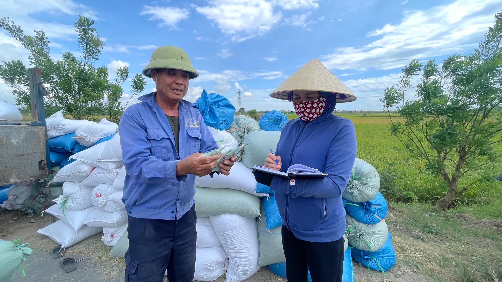 Rủ nhau vào HTX, liên kết trồng lúa, thu lãi cao - Ảnh 1. Rủ nhau vào HTX, liên kết trồng lúa, thu lãi cao - Ảnh 1.