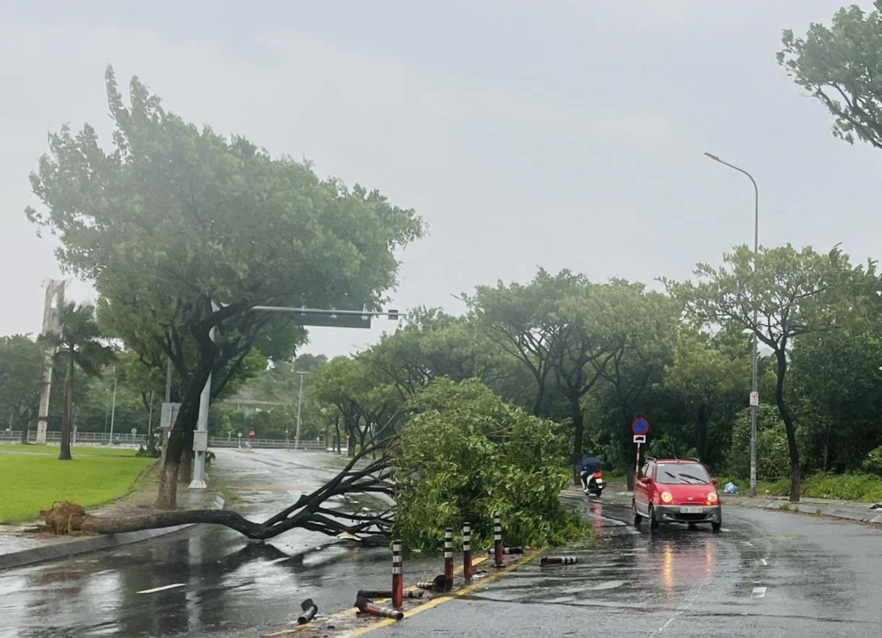 Bão Trà Mi hoành hành: VPF hoãn trận Đà Nẵng gặp Hải Phòng, dời ngày khác- Ảnh 3. Bão Trà Mi hoành hành: VPF hoãn trận Đà Nẵng gặp Hải Phòng, dời ngày khác- Ảnh 3.