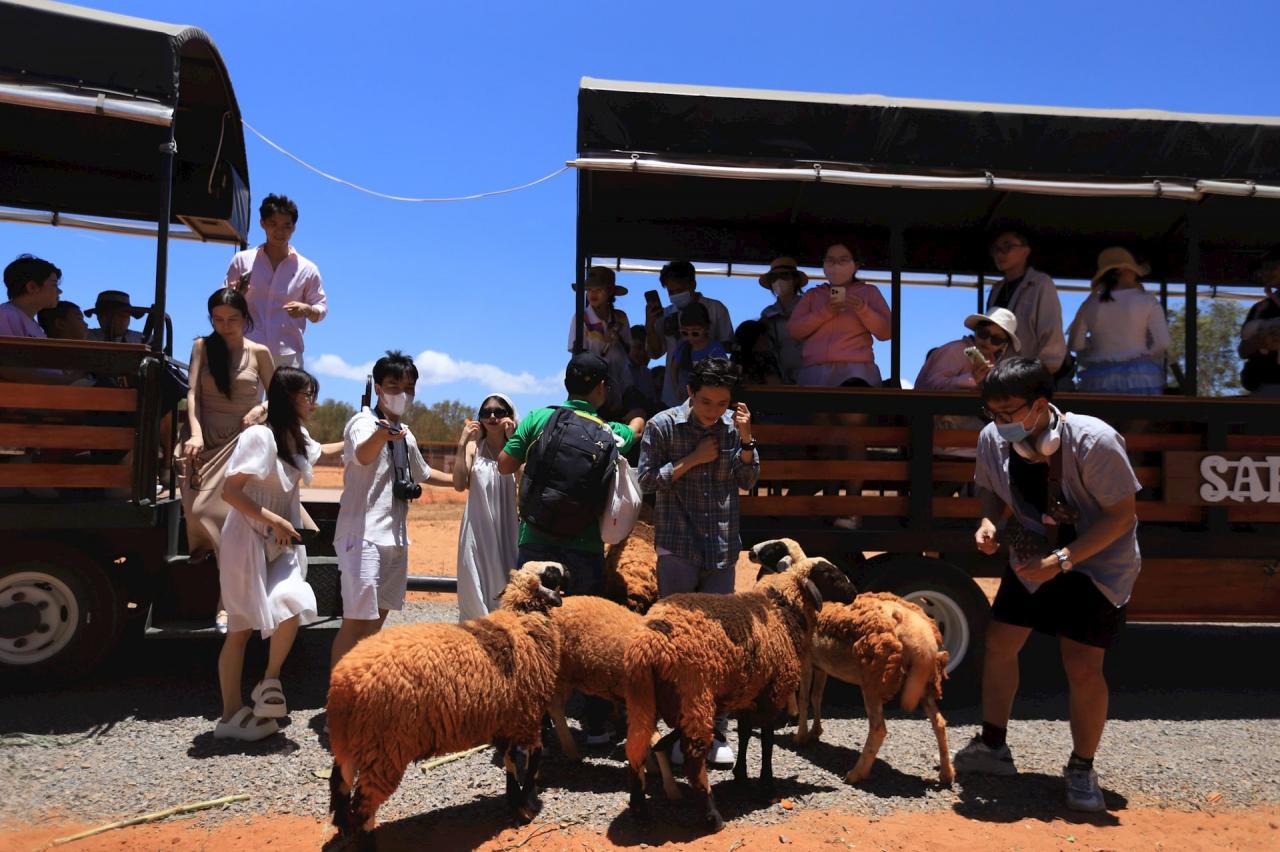 Du lịch Phan Thiết thắng lớn trong kỳ nghỉ lễ - Vietnam.vn Du lịch Phan Thiết thắng lớn trong kỳ nghỉ lễ
