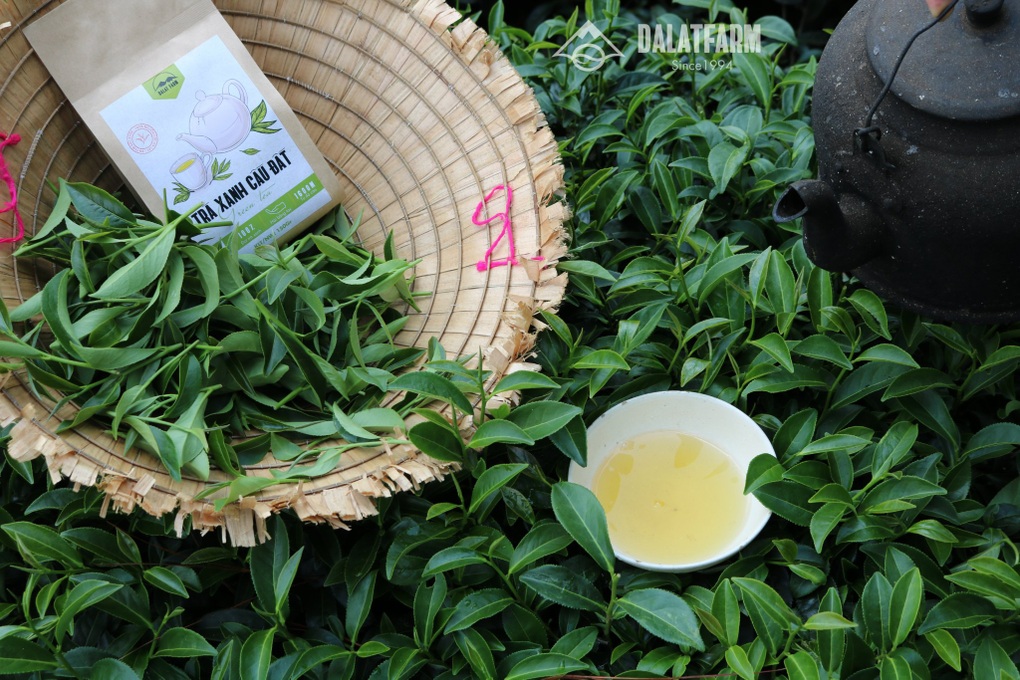 Nữ doanh nhân bỏ phố về quê lập nghiệp với nương rẫy gắn liền tuổi thơ - Vietnam.vn Nữ doanh nhân bỏ phố về quê lập nghiệp với nương rẫy gắn liền tuổi thơ