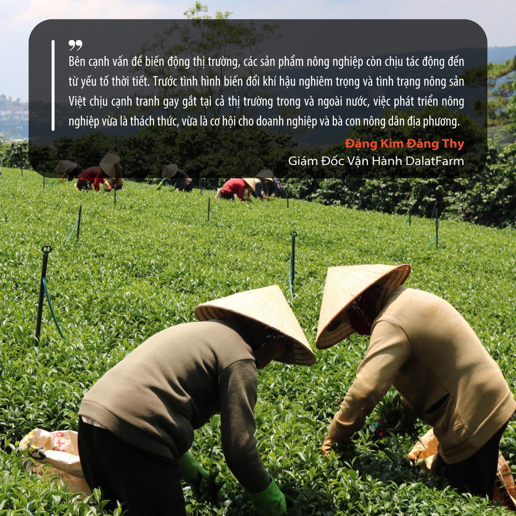 Nữ doanh nhân bỏ phố về quê lập nghiệp với nương rẫy gắn liền tuổi thơ - Vietnam.vn Nữ doanh nhân bỏ phố về quê lập nghiệp với nương rẫy gắn liền tuổi thơ