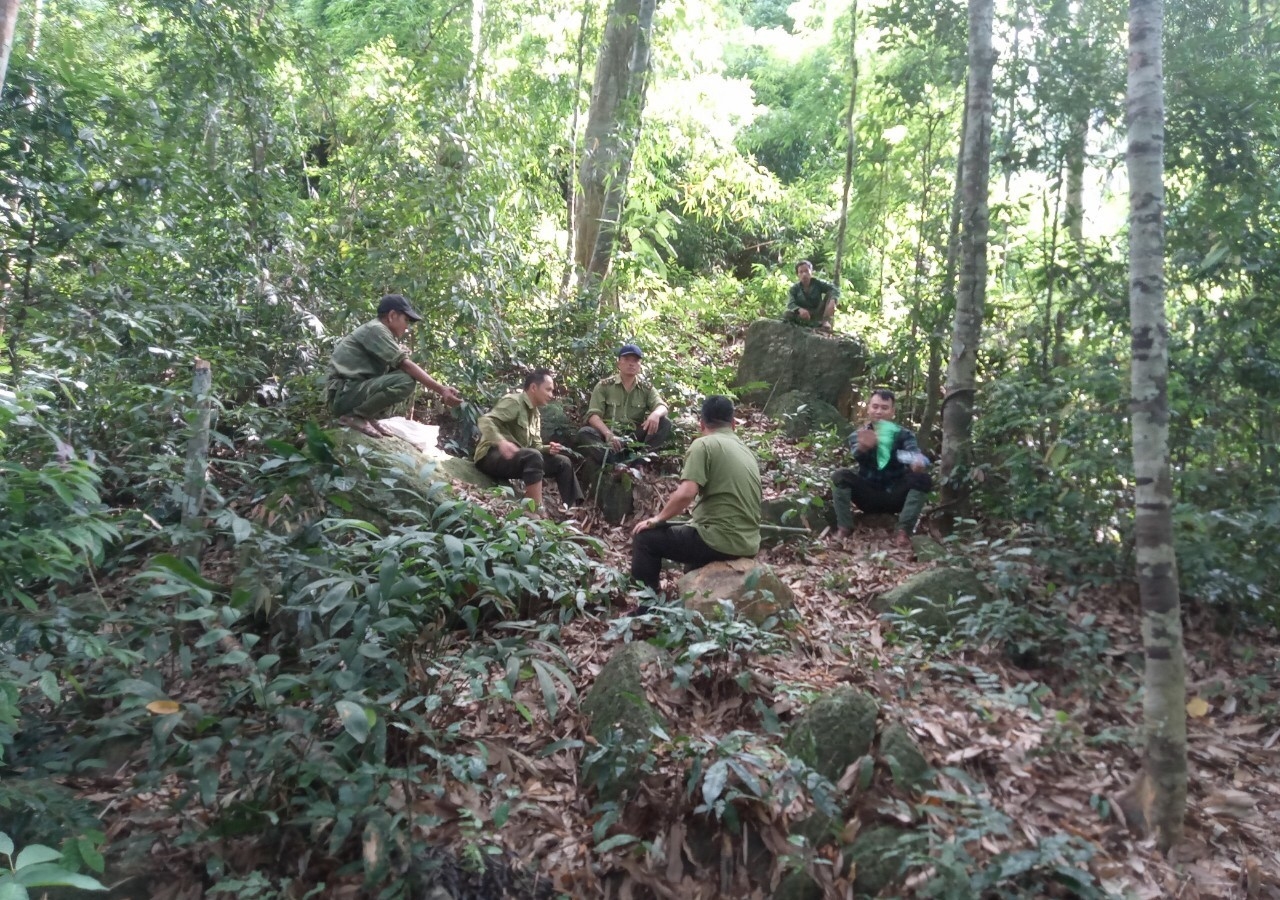 Lực lượng quản lý bảo vệ rừng kiểm tra hiện trạng rừng và công tác PCCC ở xã Nga My, huyện Tương Dương Lực lượng quản lý bảo vệ rừng kiểm tra hiện trạng rừng và công tác PCCC ở xã Nga My, huyện Tương Dương