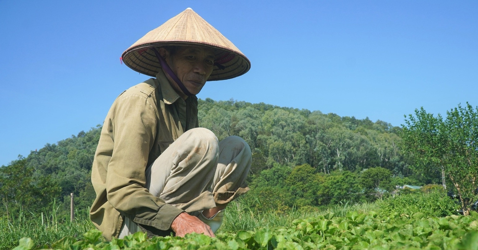 Тхань Хоа воплощает в жизнь политику сокращения бедности