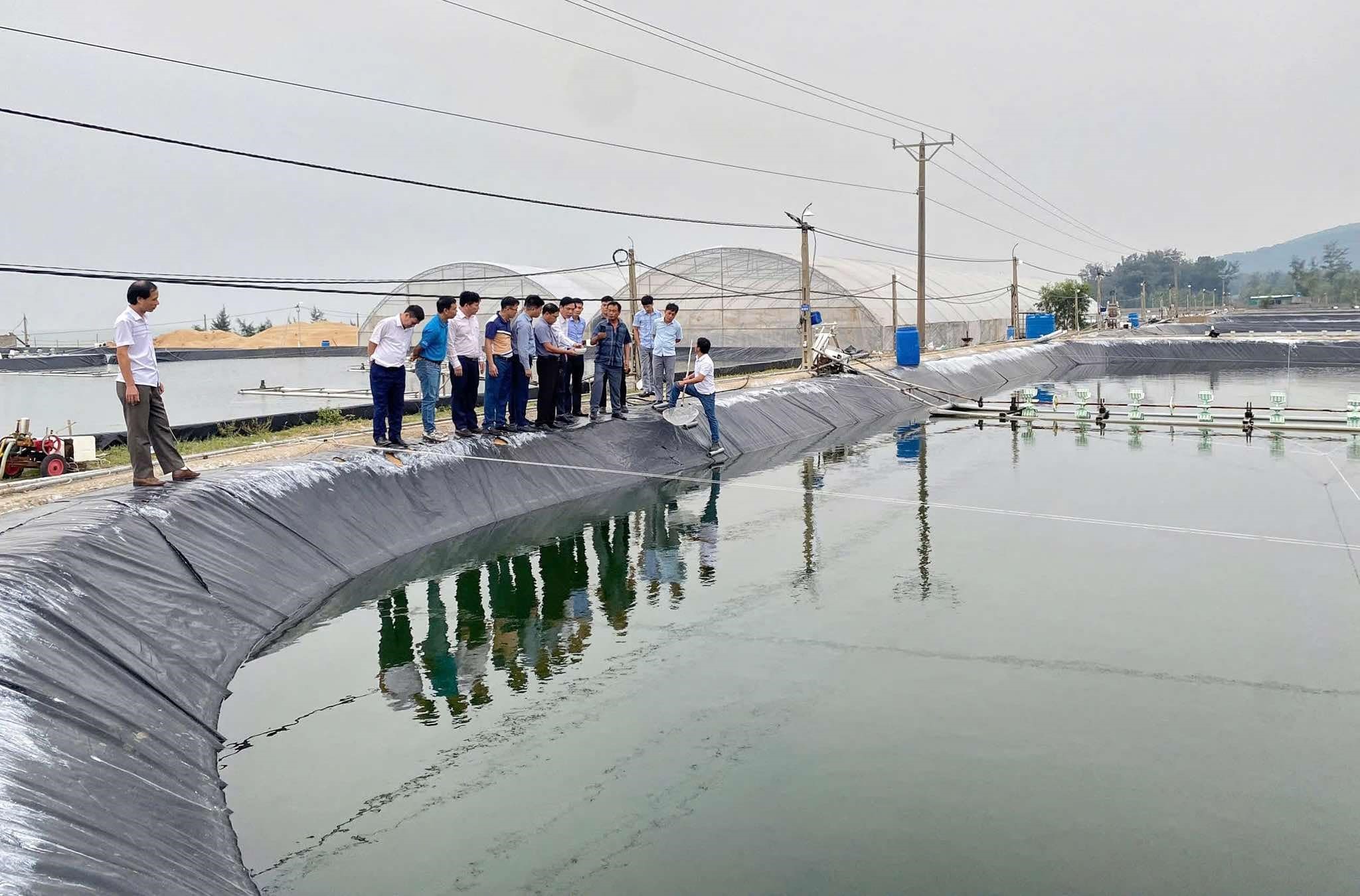 Nhà quản lý, nhà khoa học, doanh nghiệp, người nuôi bàn giải pháp nâng giá trị chuỗi ngành tôm- Ảnh 4. Nhà quản lý, nhà khoa học, doanh nghiệp, người nuôi bàn giải pháp nâng giá trị chuỗi ngành tôm- Ảnh 4.