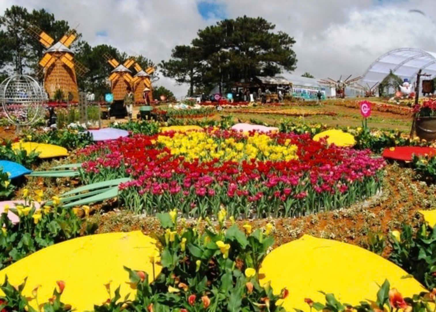 Festival hoa Đà Lạt 2024 kỳ vọng thu hút 2 triệu lượt khách du lịch- Ảnh 2. Festival hoa Đà Lạt 2024 kỳ vọng thu hút 2 triệu lượt khách du lịch- Ảnh 2.