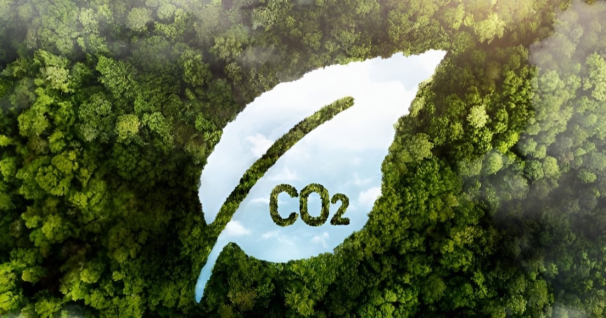 Thị trường tín chỉ carbon rừng hứa hẹn rất nhiều tiềm năng đối với Việt Nam. Thị trường tín chỉ carbon rừng hứa hẹn rất nhiều tiềm năng đối với Việt Nam.
