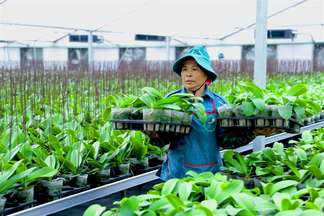 Tín dụng xanh - động lực cho phát triển bền vững: Xây dựng