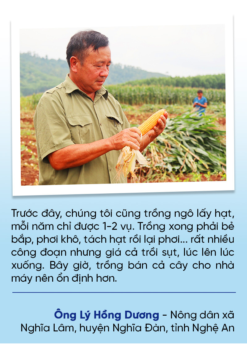 Khám phá ”Nhà máy Xanh” TH true MILK: Từ đồng cỏ xanh đến ly sữa sạch - Ảnh 4. Khám phá ”Nhà máy Xanh” TH true MILK: Từ đồng cỏ xanh đến ly sữa sạch - Ảnh 4.