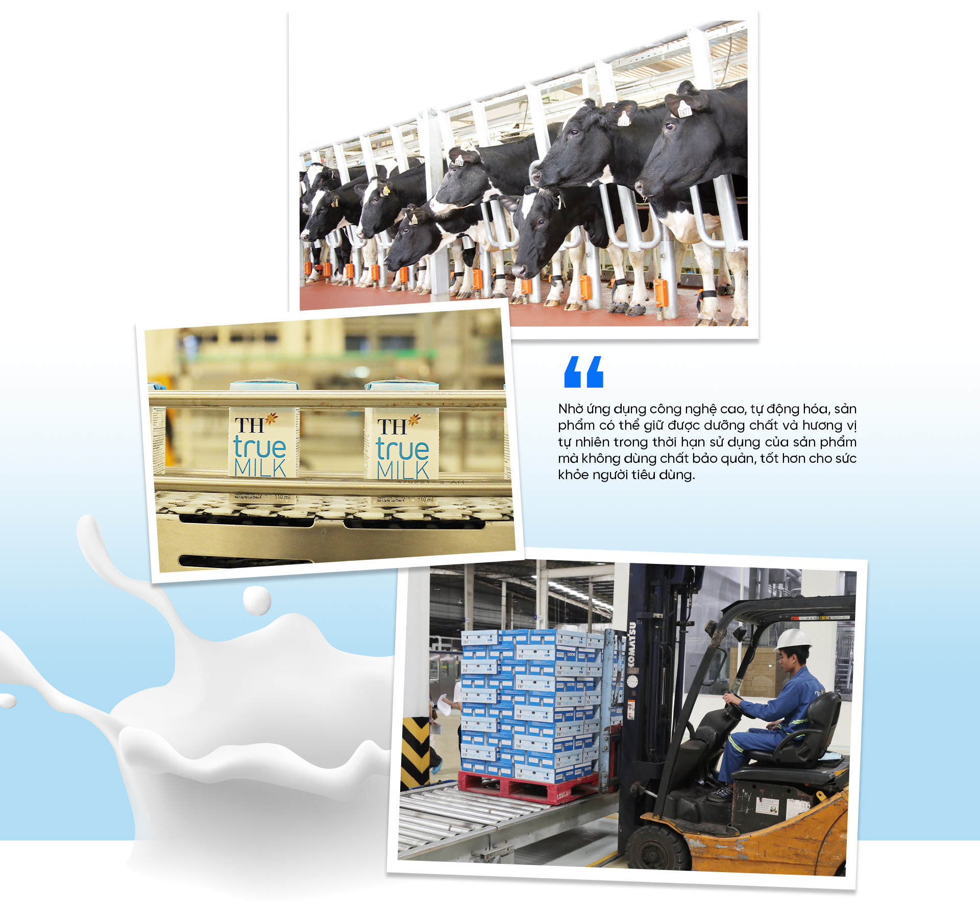 Khám phá ”Nhà máy Xanh” TH true MILK: Từ đồng cỏ xanh đến ly sữa sạch - Ảnh 8. Khám phá ”Nhà máy Xanh” TH true MILK: Từ đồng cỏ xanh đến ly sữa sạch - Ảnh 8.