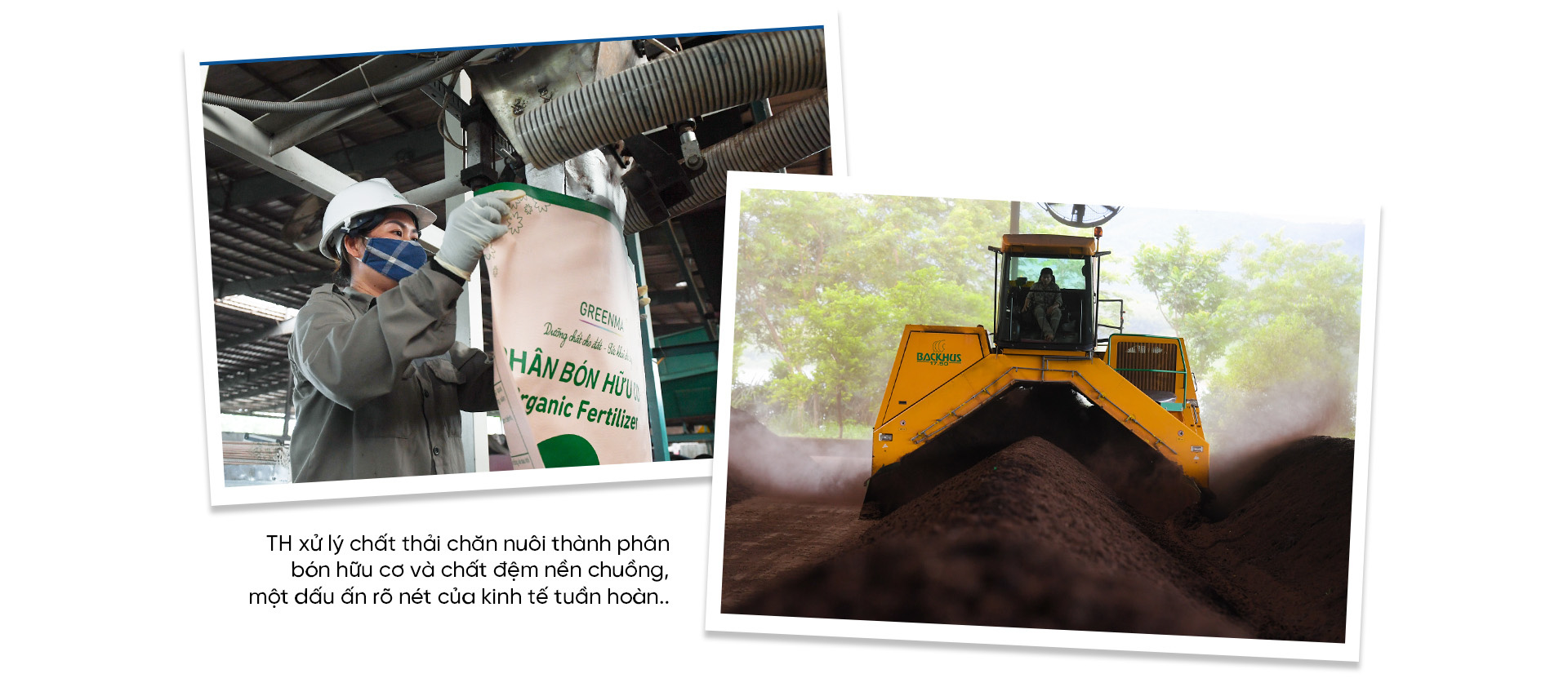 Khám phá ”Nhà máy Xanh” TH true MILK: Từ đồng cỏ xanh đến ly sữa sạch - Ảnh 10. Khám phá ”Nhà máy Xanh” TH true MILK: Từ đồng cỏ xanh đến ly sữa sạch - Ảnh 10.