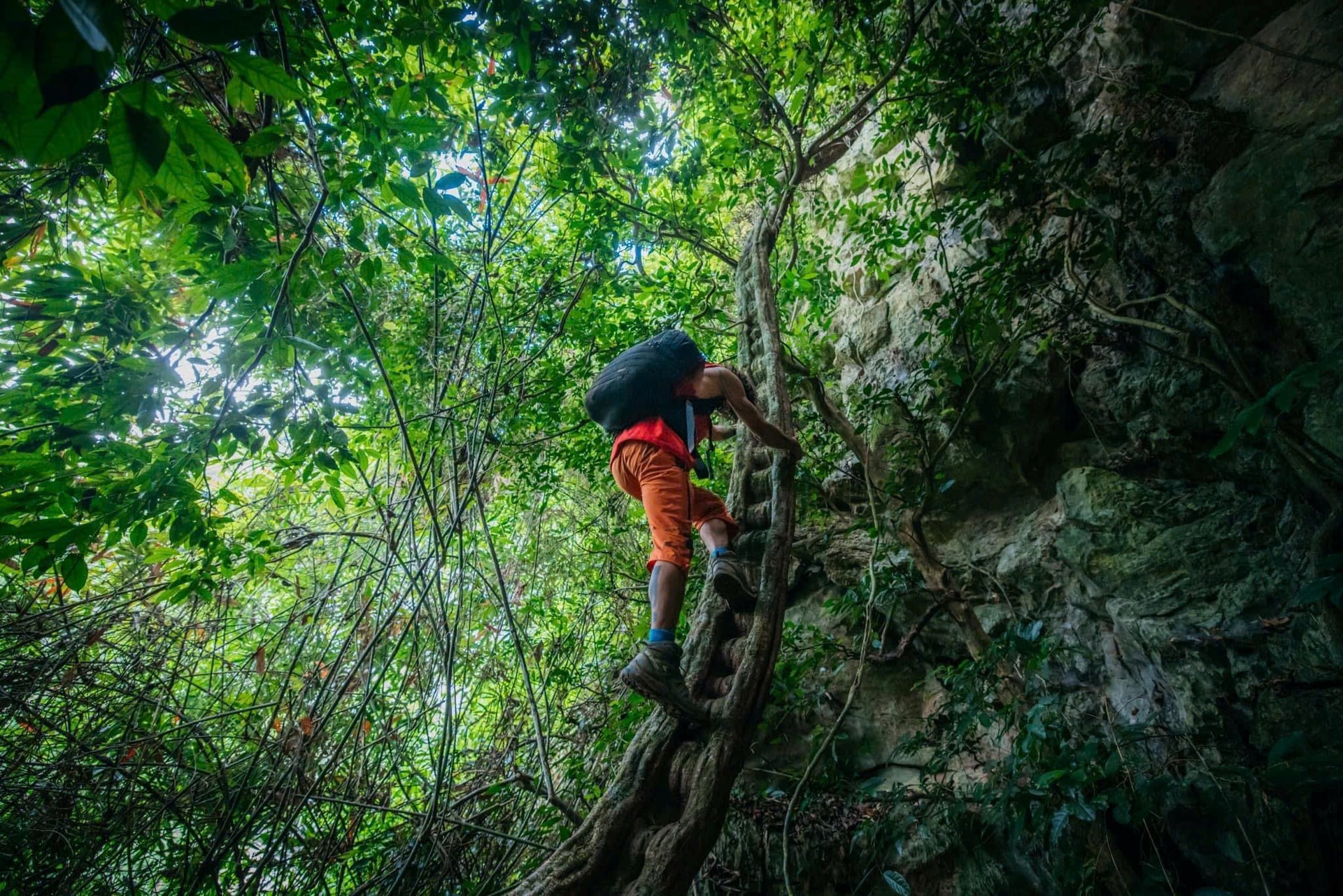 Cuộc phiêu lưu kịch tính: Từ Cuộc phiêu lưu kịch tính: Từ