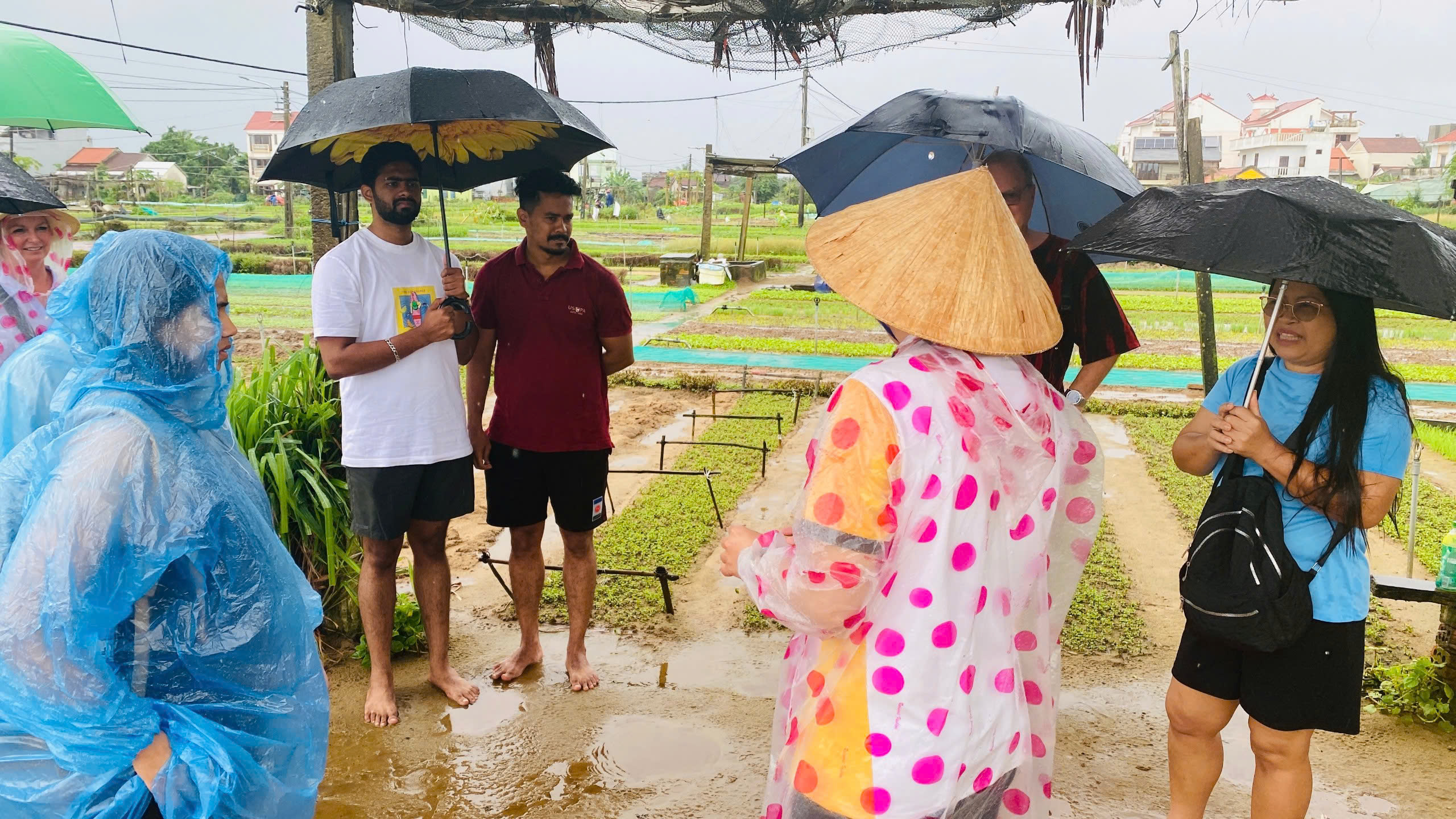 Có gì hấp dẫn ở Trà Quế (Quảng Nam) - làng du lịch tốt nhất thế giới?- Ảnh 5. Có gì hấp dẫn ở Trà Quế (Quảng Nam) - làng du lịch tốt nhất thế giới?- Ảnh 5.