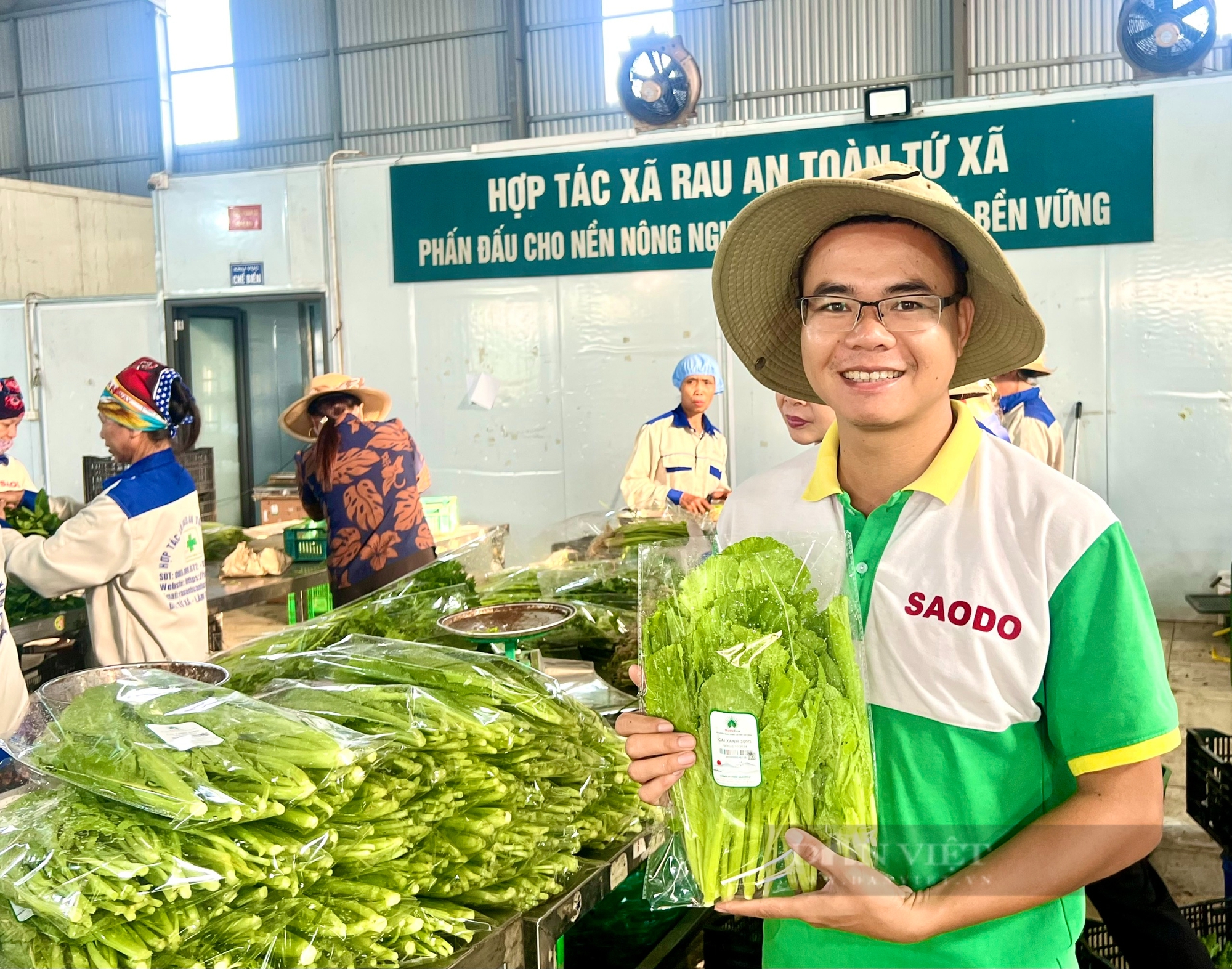 Ngắm cánh đồng chuyên canh rau an toàn của nông dân hợp tác xã tiêu biểu toàn quốc - Ảnh 4.