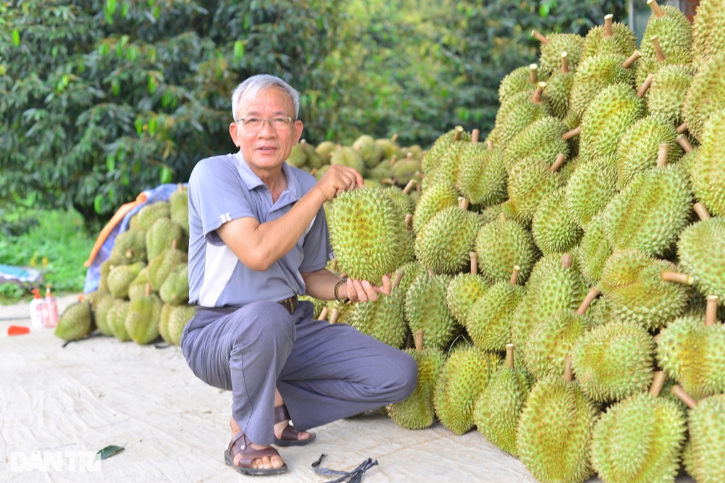 Trồng cây tỷ đô, cụ ông 75 tuổi có thu nhập khiến người trẻ nể phục - 2 Trồng cây tỷ đô, cụ ông 75 tuổi có thu nhập khiến người trẻ nể phục - 2