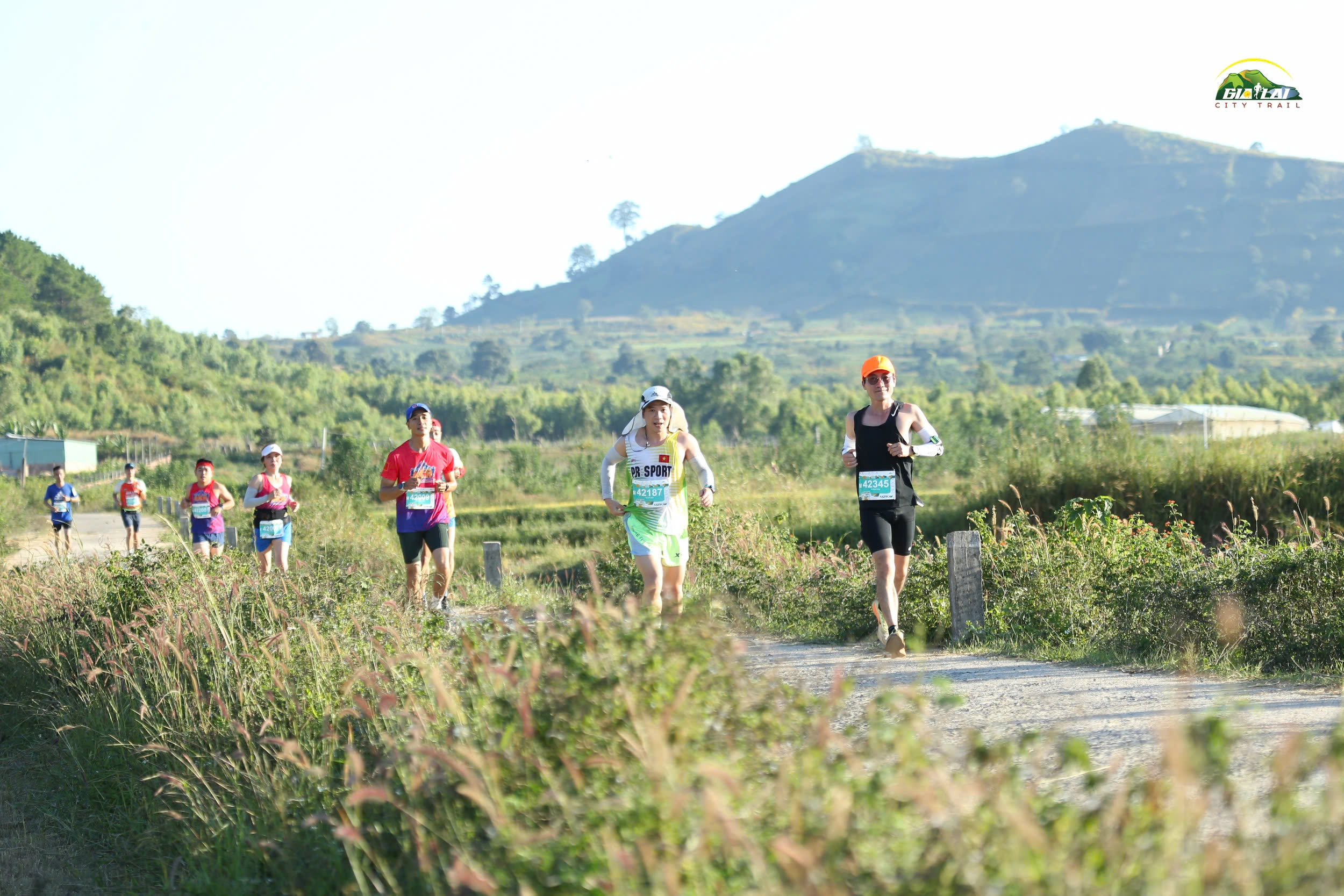 Gia Lai City Trail 2024: Hơn 6.800 VĐV chạy trong sắc vàng của hoa dã quỳ- Ảnh 2. Gia Lai City Trail 2024: Hơn 6.800 VĐV chạy trong sắc vàng của hoa dã quỳ- Ảnh 2.