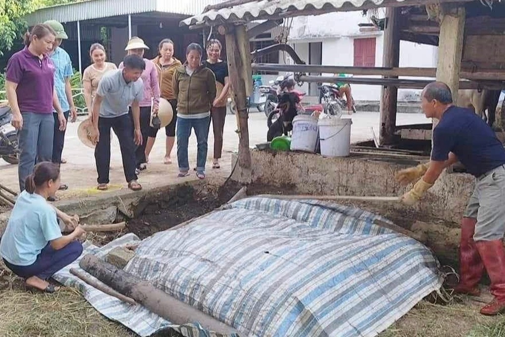 Nông dân kiếm thêm tiền lại bảo vệ môi trường từ những thứ bỏ đi trên ruộng - 2 Nông dân kiếm thêm tiền lại bảo vệ môi trường từ những thứ bỏ đi trên ruộng - 2