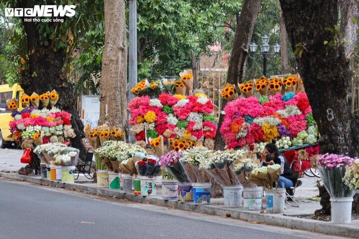 Sát ngày 20/11, hoa tươi tăng giá mạnh - 2