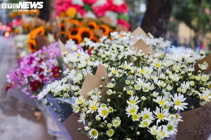 Sát ngày 20/11, hoa tươi tăng giá mạnh - 7