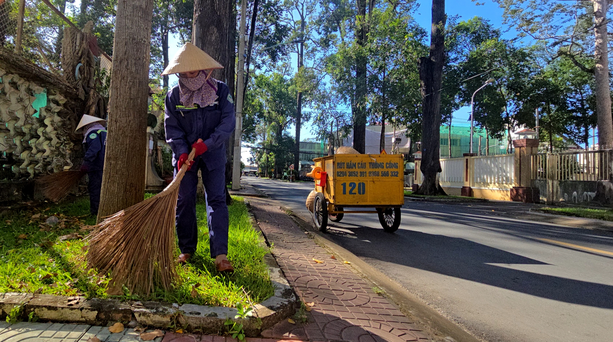 Trà Vinh không mở rộng đường trung tâm để bảo vệ hơn 14.000 cây xanh- Ảnh 6. Trà Vinh không mở rộng đường trung tâm để bảo vệ hơn 14.000 cây xanh- Ảnh 6.