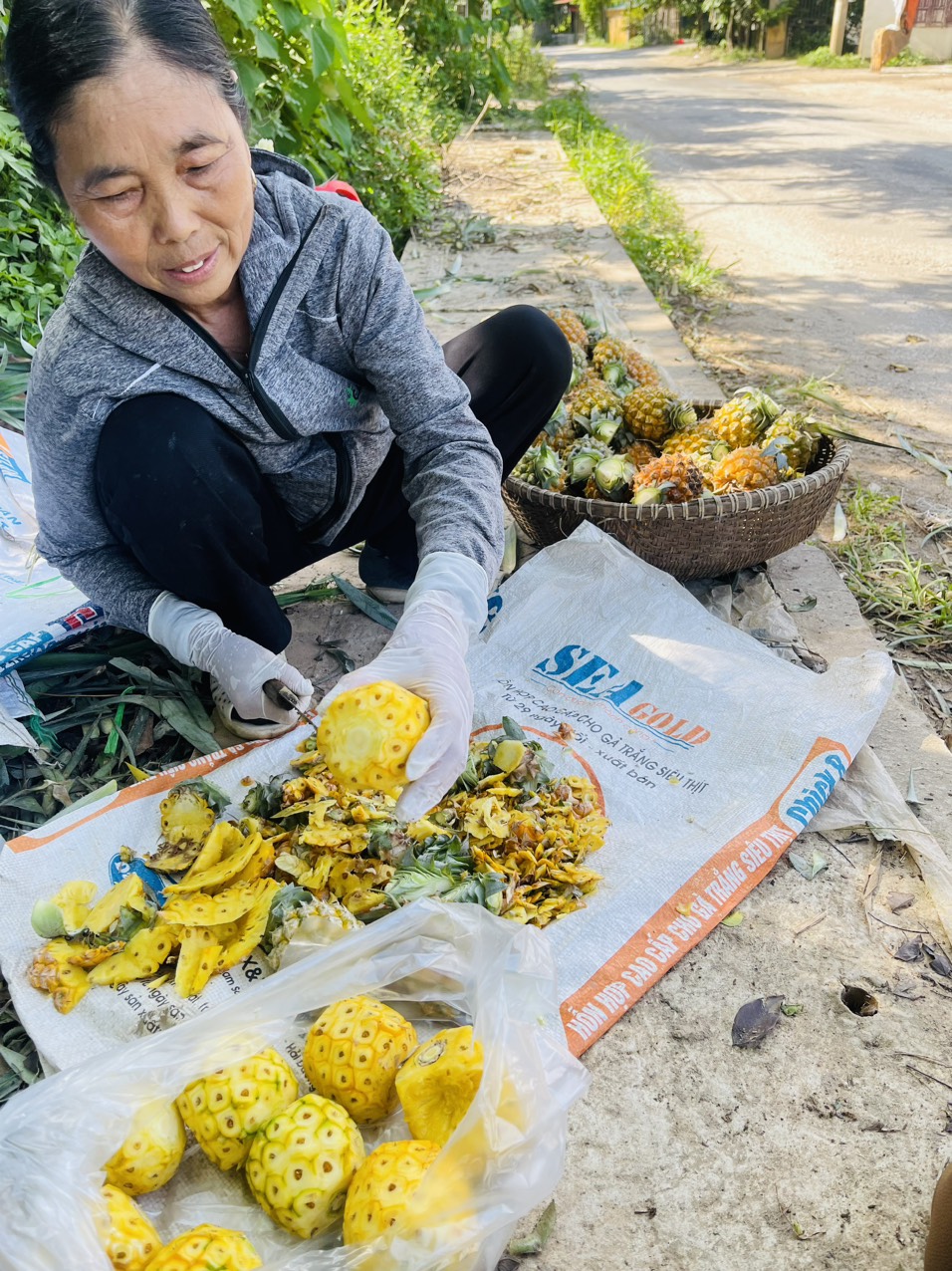 Ở một khu rừng gỗ quý nổi tiếng Vĩnh Phúc, dân trồng cây dứa gai ra quả ngon quá trời, bán hút hàng- Ảnh 5. Ở một khu rừng gỗ quý nổi tiếng Vĩnh Phúc, dân trồng cây dứa gai ra quả ngon quá trời, bán hút hàng- Ảnh 5.