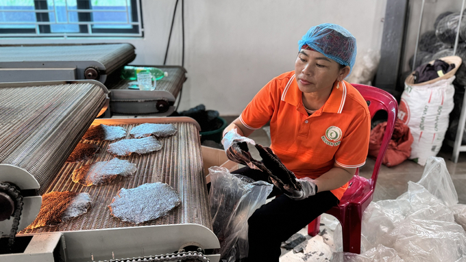 z5983551346224_42e205ca0d5f405409d30d23500290d9-171254_776.jpg Doanh số bán hàng của các sản phẩm đã tăng bình quân 40% sau khi tham gia chương trình OCOP. Ảnh: Ánh Nguyệt.