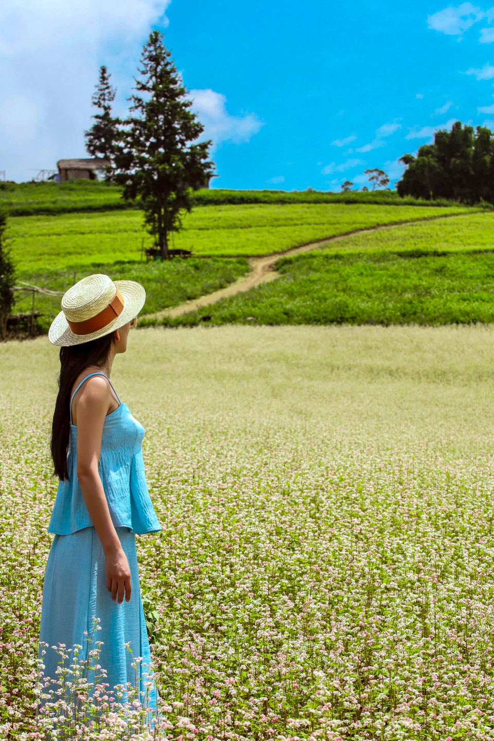 Ngây ngất vẻ đẹp thơ mộng của thảo nguyên Suôi Thầu - Ảnh 13. Ngây ngất vẻ đẹp thơ mộng của thảo nguyên Suôi Thầu - Ảnh 13.
