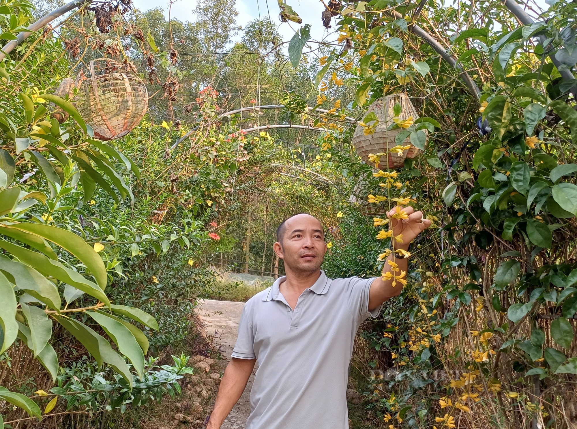 Yêu cây cối, anh nông dân Thái Nguyên tạo không gian sống xanh khiến ai đặt chân đến đều mê- Ảnh 2. Yêu cây cối, anh nông dân Thái Nguyên tạo không gian sống xanh khiến ai đặt chân đến đều mê- Ảnh 2.