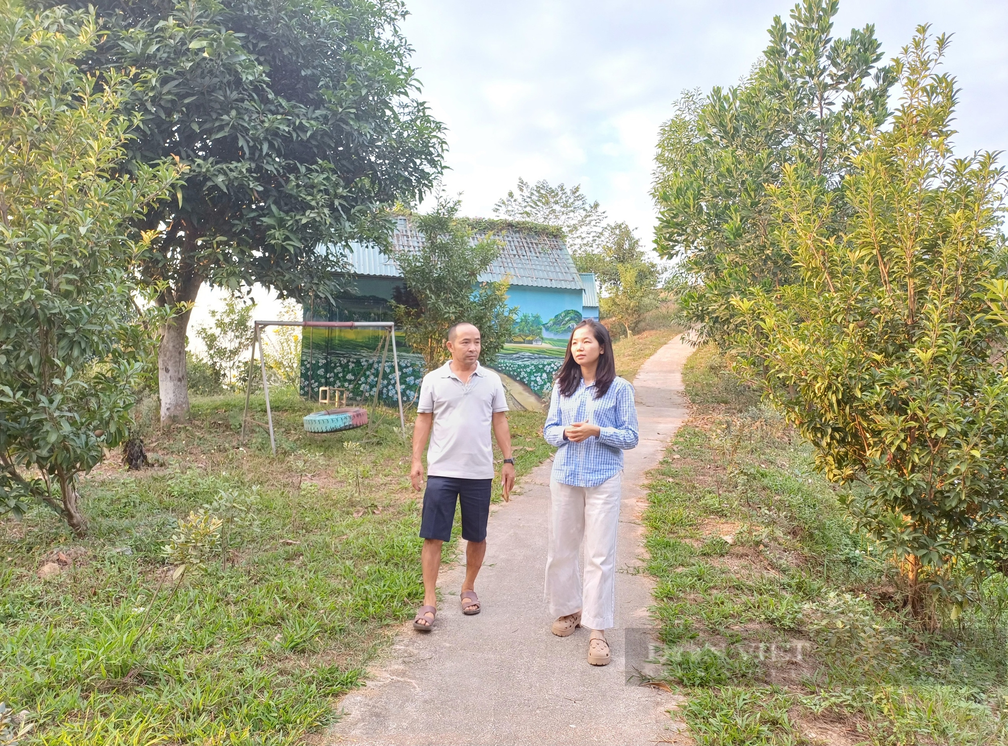 Yêu cây cối, anh nông dân Thái Nguyên tạo không gian sống xanh khiến ai đặt chân đến đều mê- Ảnh 3. Yêu cây cối, anh nông dân Thái Nguyên tạo không gian sống xanh khiến ai đặt chân đến đều mê- Ảnh 3.