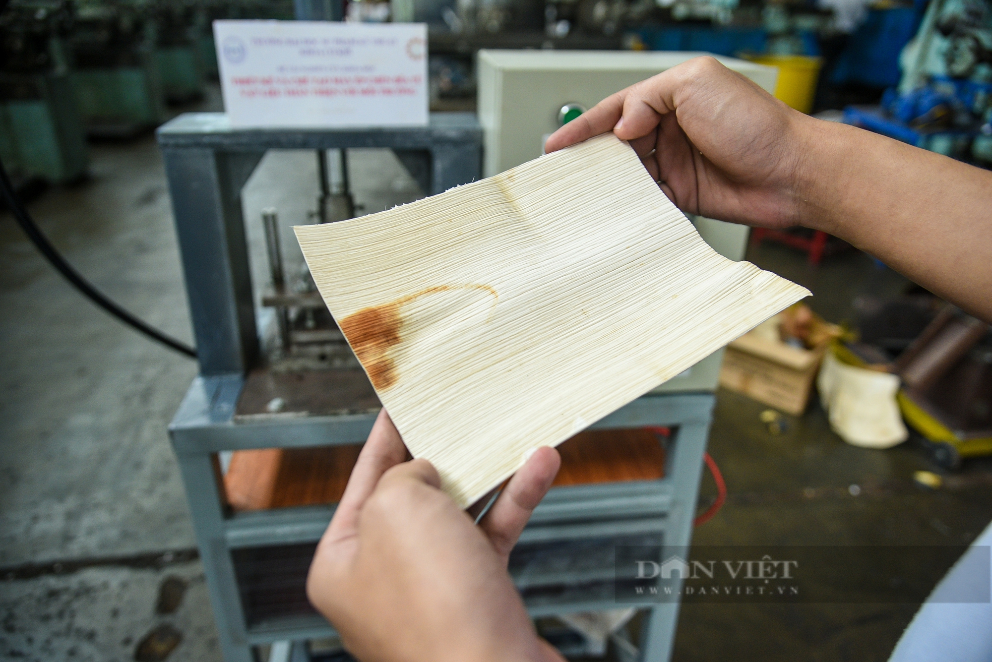 Đà Nẵng: Sinh viên chế tạo máy ép chén đĩa từ vật liệu thân thiện môi trường thay thế đồ nhựa- Ảnh 9. Đà Nẵng: Sinh viên chế tạo máy ép chén đĩa từ vật liệu thân thiện môi trường thay thế đồ nhựa- Ảnh 9.