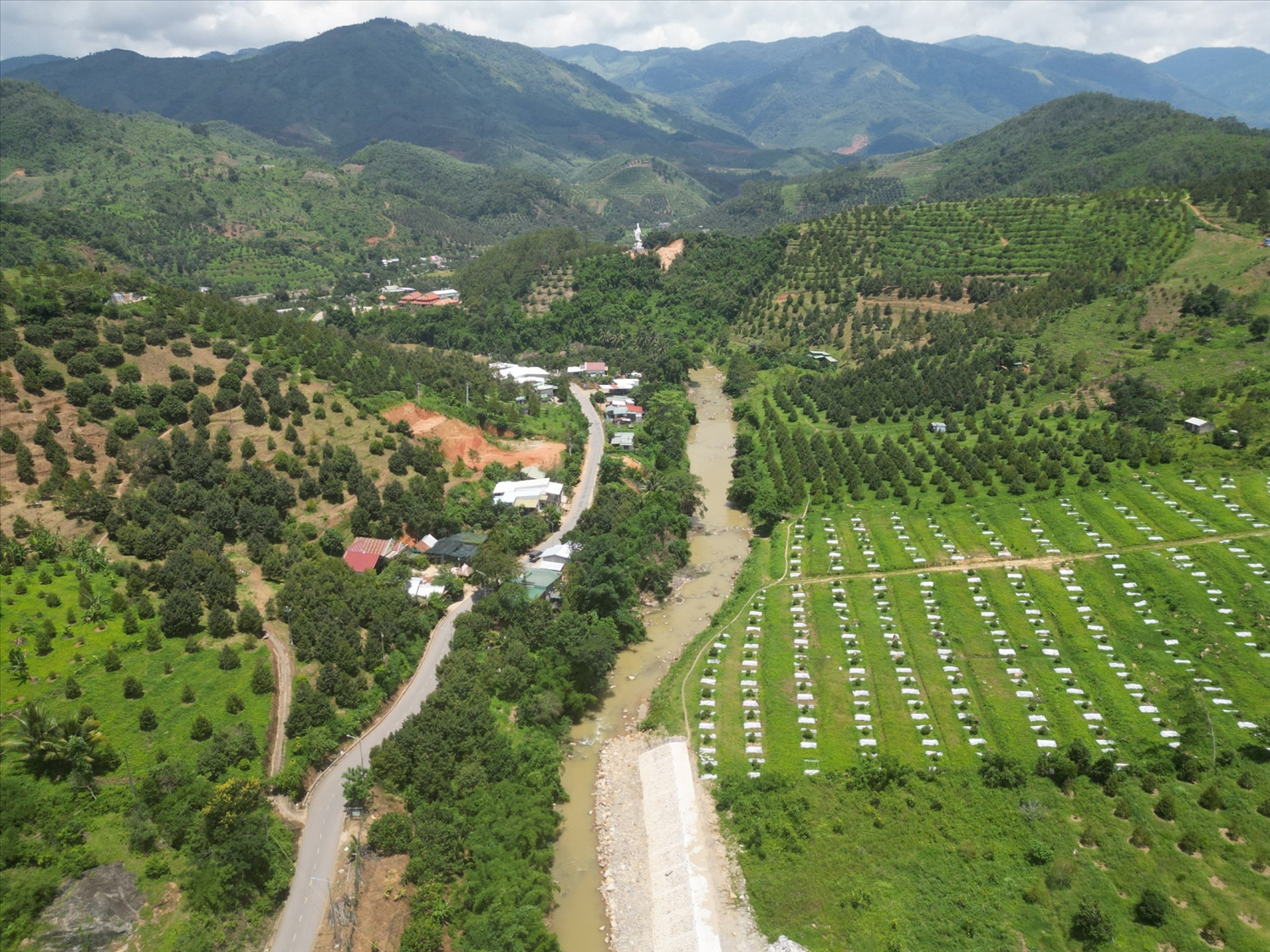 Một vùng trồng cây ăn quả tại huyện Khánh Sơn. Một vùng trồng cây ăn quả tại huyện Khánh Sơn.
