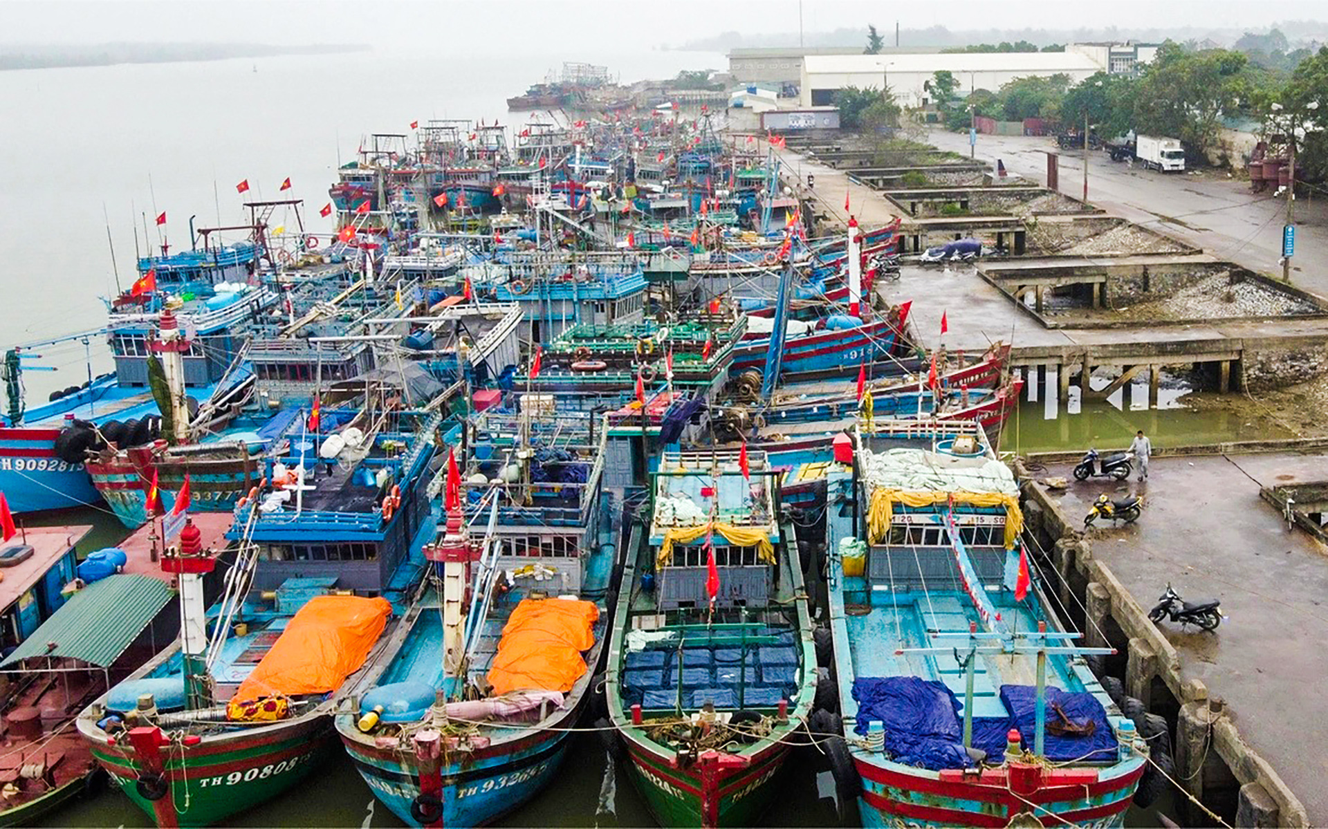 Cảng cá áp dụng quy định máy móc, Cục Thủy sản chỉ đạo nóng - Ảnh 3. Cảng cá áp dụng quy định máy móc, Cục Thủy sản chỉ đạo nóng - Ảnh 2.